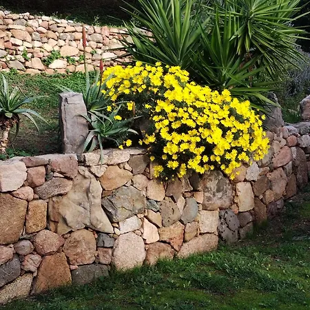 Individuelle Avec Jardin *