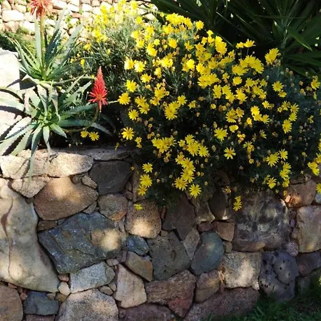 Villa Individuelle Avec Jardin *