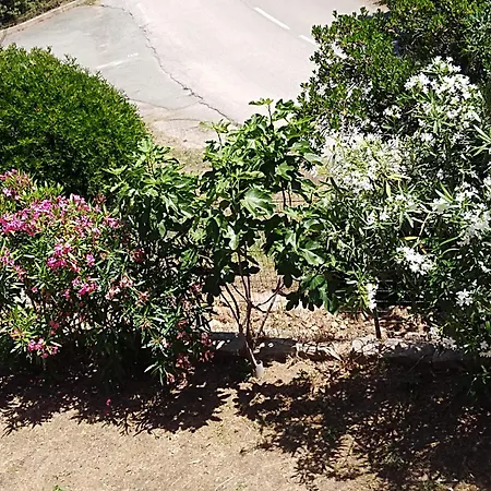 Villa Individuelle Avec Jardin *