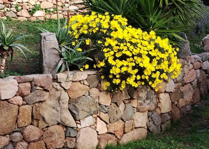 Individuelle Avec Jardin *