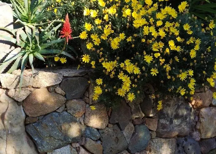 Vila Individuelle Avec Jardin *