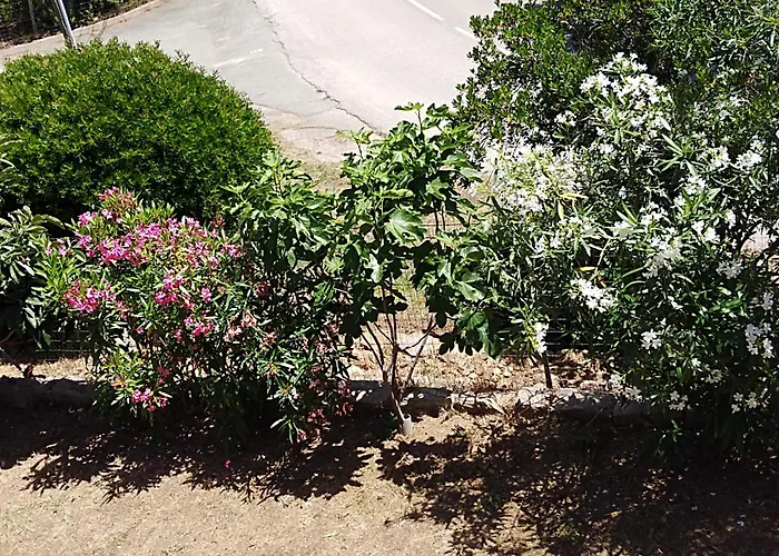 Vila Individuelle Avec Jardin *