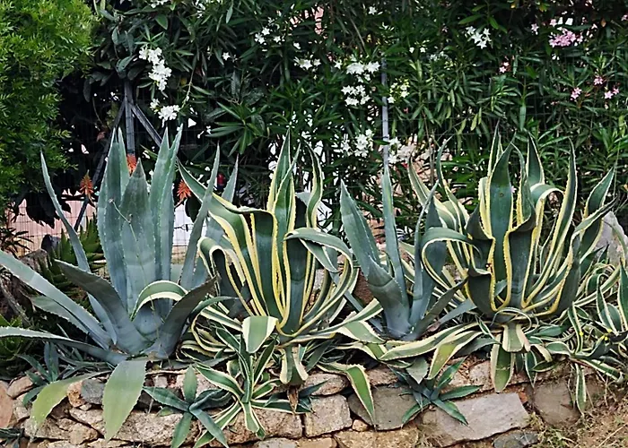 Individuelle Avec Jardin *